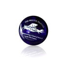 Bristol "Fighter" Paperweight