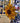 Sunflower Fused Glass Suncatcher