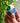 Marble Glass Egg Sculpture